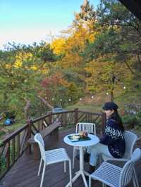 가을감성 가득한 힐링뷰를 가진 거창 단풍카페🍁