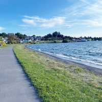 【NZ】タウポ湖