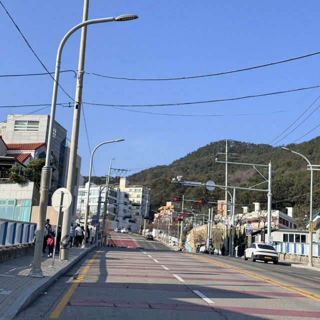 Busan is real beauty ❤️