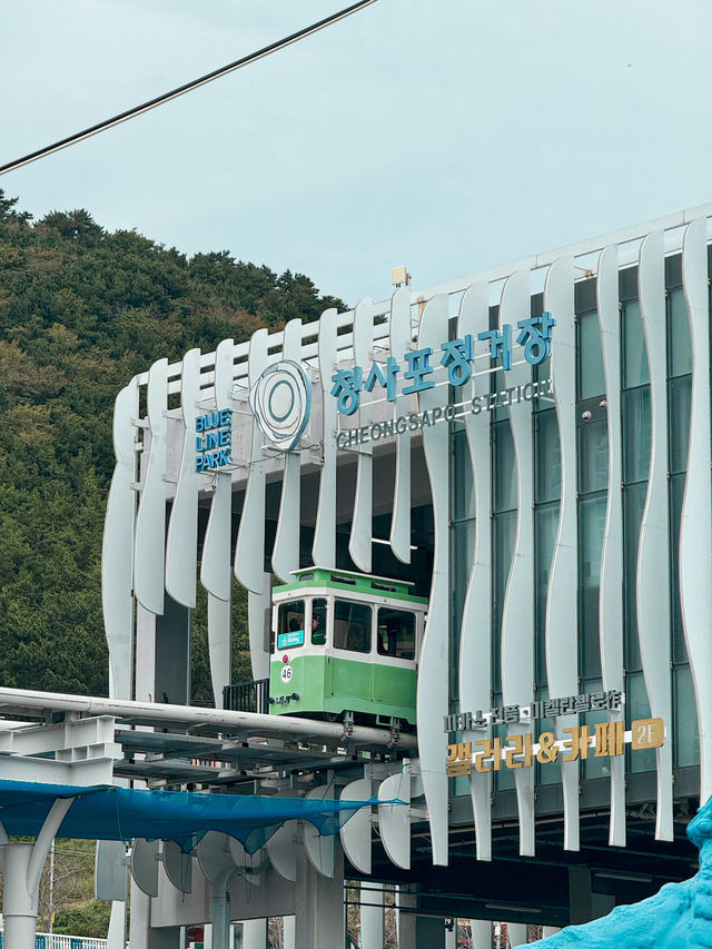 Travel Hacks Before Buying Sky Capsules Ticket in Busan