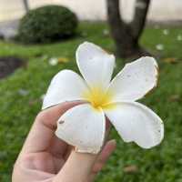 หลบร้อน พักใจ ที่สวนหลวง