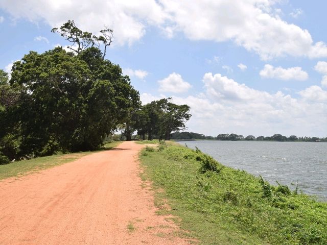 The Royal Park Ponds in Anuradhapura 🇱🇰
