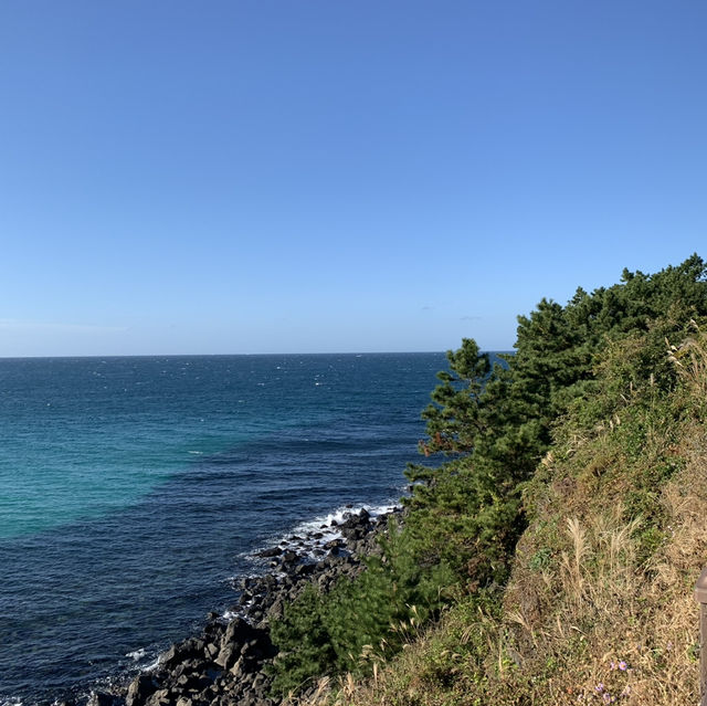 화창한 가을날의 제주💕 앳 코너에서 한담해안산책로까지🌊  화창한 가을날의 제주💕 앳 코너에서 한담해안산책로까지🌊