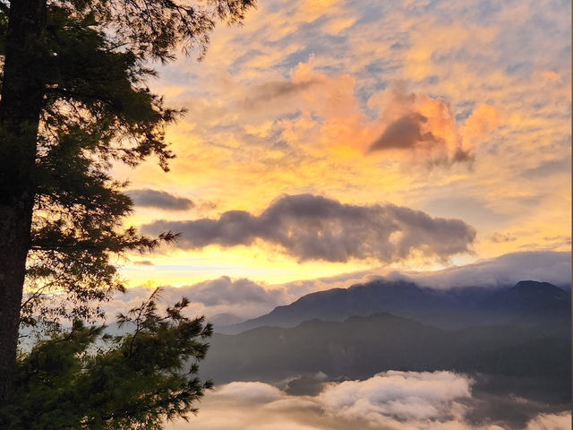 祝山觀日平臺✨阿里山的日出奇觀🌅