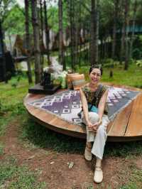 🏕️ วิลล่าป่าสน เขาค้อ