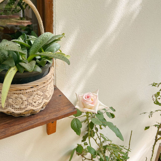 คาเฟ่สุดคิ้วท์ที่เชียงราย 🧺🌼Vanilla cabin