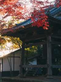 Trip to Sendai, Japan 🇯🇵 