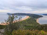 Palm Beach Track เดินป่าระยะสั้น ซิดนีย์