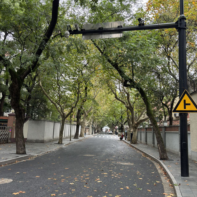 คริสต์มาสเซี่ยงไฮ้-Wukang Road 