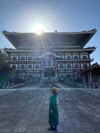 福井観光🏛️一度は見たい必見の越前大仏😳✨
