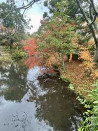 【湯布院】湯布院といえばココ✨神秘的な湖✨