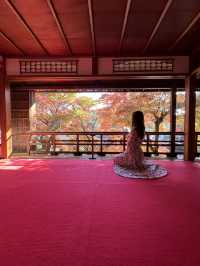 京都 ❤︎ 紅葉のリフレクションが素敵🍁✨秋のおすすめスポット❤︎