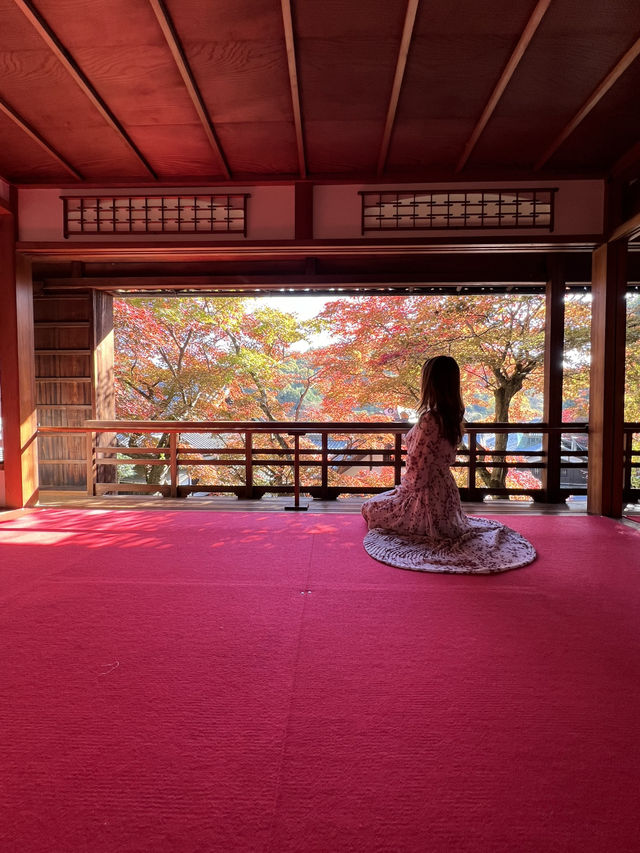 京都 ❤︎ 紅葉のリフレクションが素敵🍁✨秋のおすすめスポット❤︎