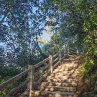 ～福林公園～清新派對～