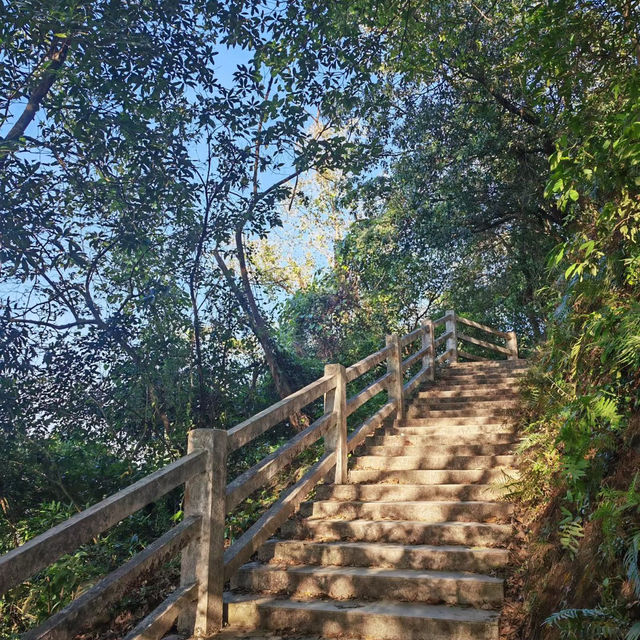 ～福林公園～清新派對～