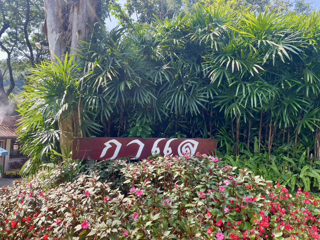 ร้านอาหารกาแล : เชียงใหม่