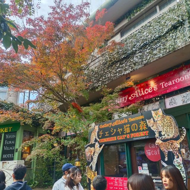 由布院 Yufuin Floral Village