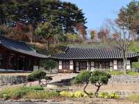 가을🍂🍁에 즐기는 강릉 선교장