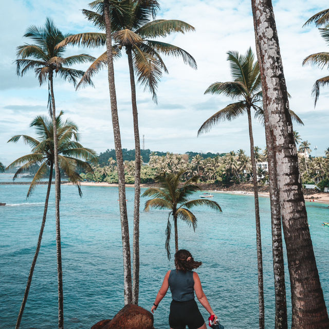 A tropical island paradise - Sri Lanka 