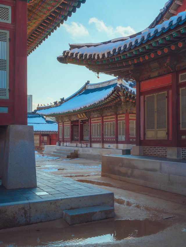 겨울 흰눈이 펑펑내리면 꼭 가야되는 서울 여행지“경복궁”