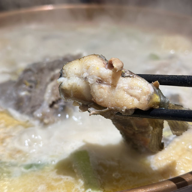 天下毛湘！豆漿煮魚湯冬日一流