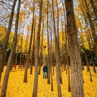 South Korea