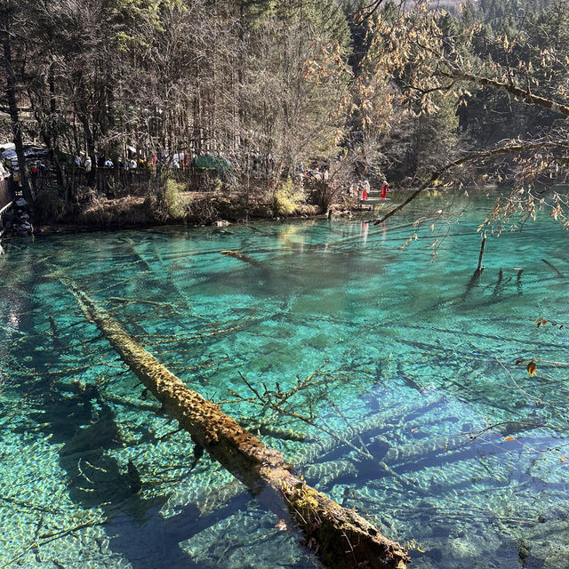 Day Trip Itinerary in Jiuzhaigou