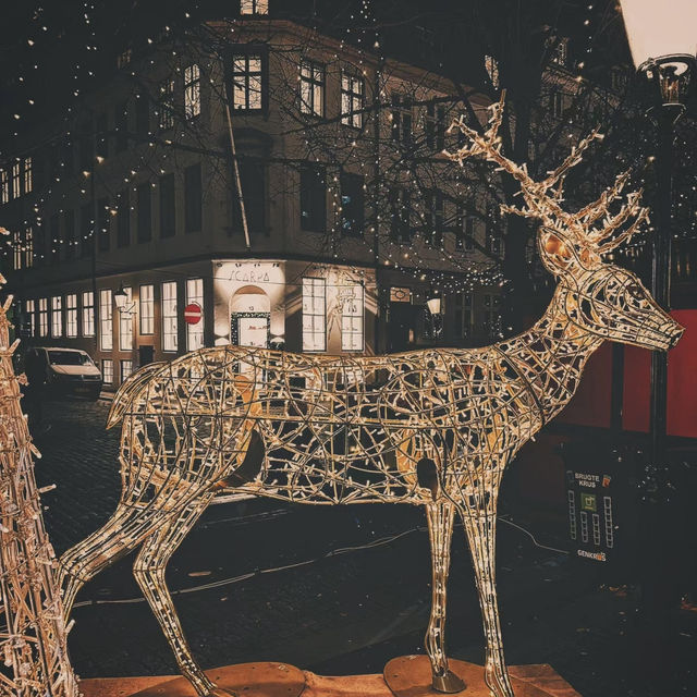 Christmas Hygge: Exploring Denmark’s Enchanting Christmas Markets