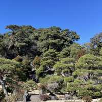 伊豆長岡 三養莊
