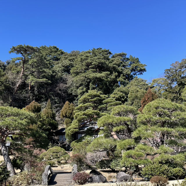 伊豆長岡 三養莊