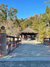 【福島　いわき：白水阿弥陀堂】