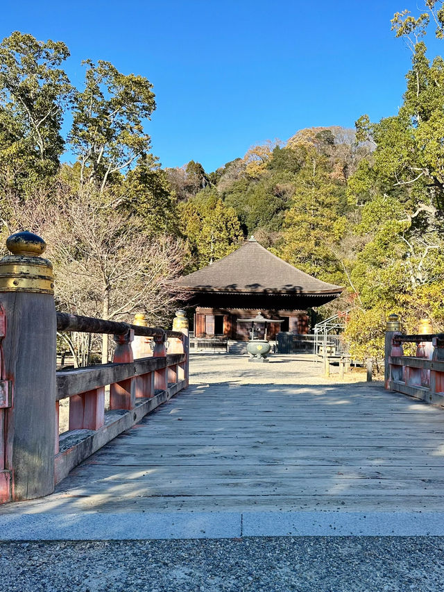 【福島　いわき：白水阿弥陀堂】