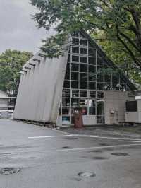 景點推薦：武藏野美術大學圖書館——藝術與建築的完美融合