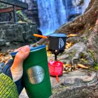 Pisgah National Forest