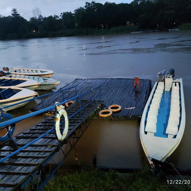 Kinabatangan river cruise is awesome!