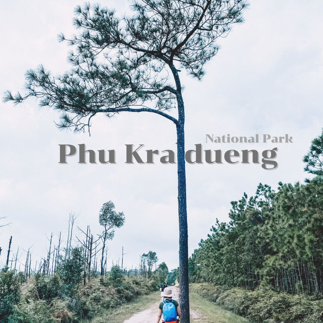 อุทยานแห่งชาติภูกระดึงในฤดูฝน