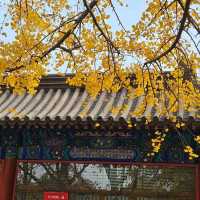 用宗教與歷史來看雍和宮之美