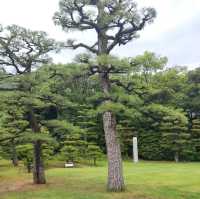 感受栗林公園的自然魅力與文化底蘊