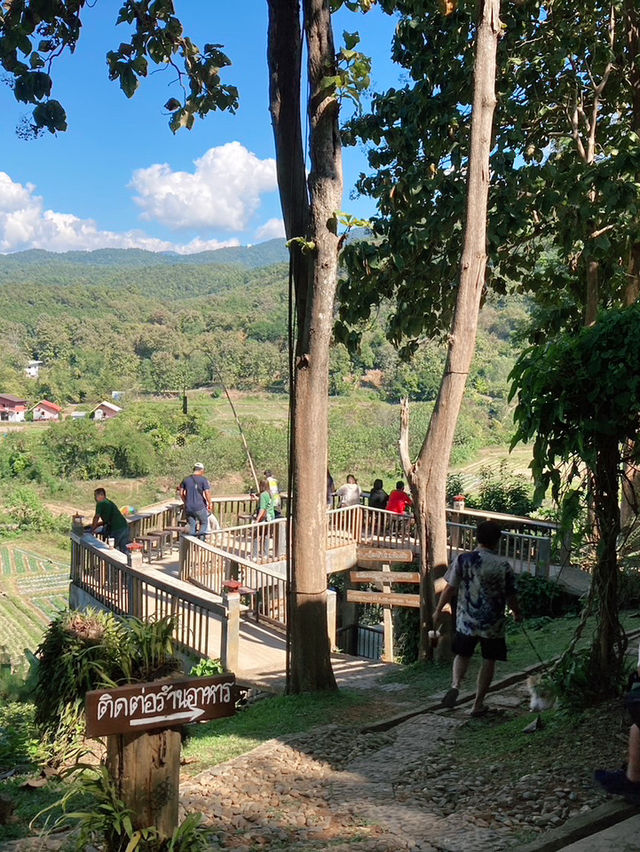 Huanam Mushroom Farm