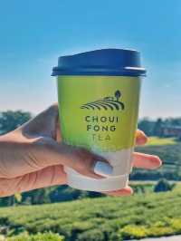 จิบชาชมวิวปังไม่ไหวที่ไร่ชาฉุยฟง เชียงราย🍵🌱🌱