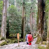 震撼心靈的熊野古道與那智瀑布
