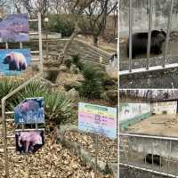 【大邱】無料で楽しめる動物園がある市民憩いの場【達城公園】　