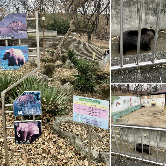 【大邱】無料で楽しめる動物園がある市民憩いの場【達城公園】　