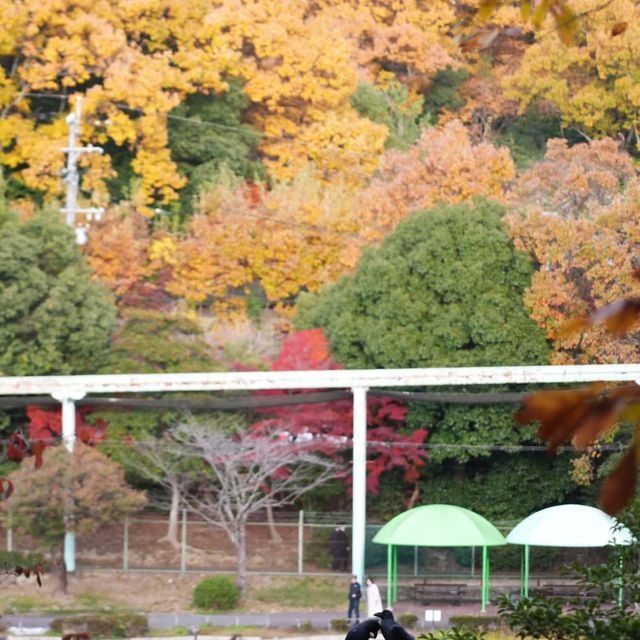上田公園-黃金畫廊