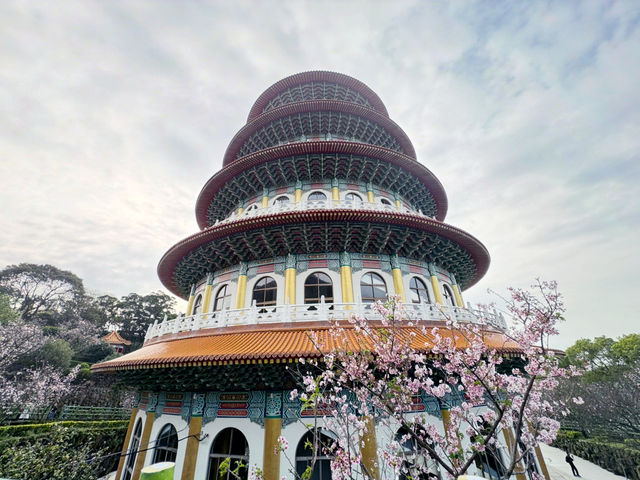 🌸 浪漫淡水一日遊：櫻花與心靈的相互交織🌸