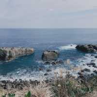 宮崎・鵜戸神宮✨海と神秘が織りなす絶景スポット