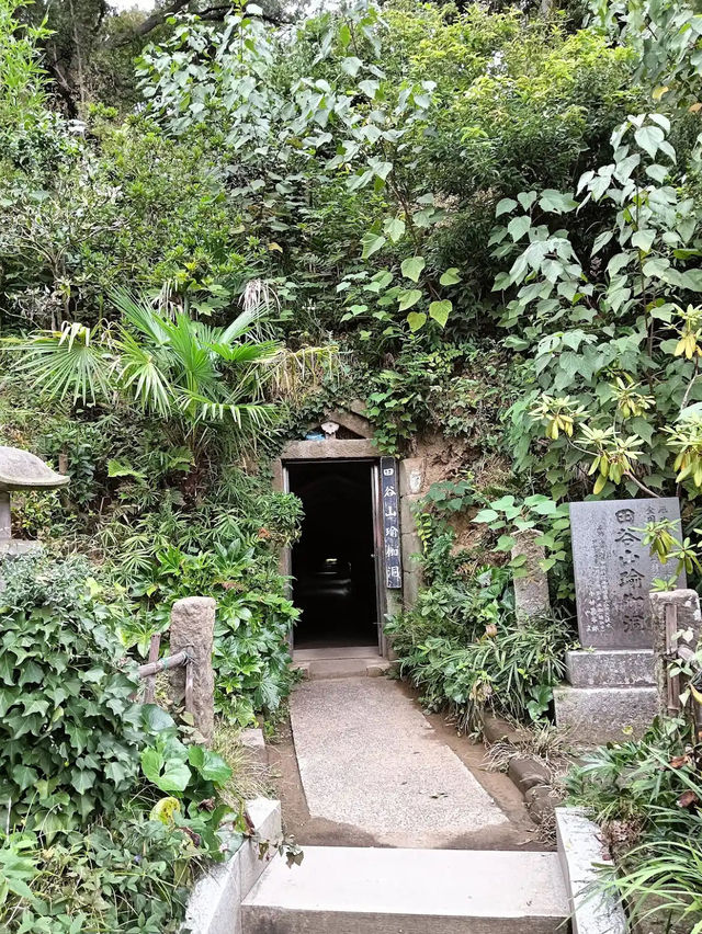 Taya Caves
