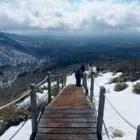 Hallasan: A Majestic Hiking Adventure 🇰🇷