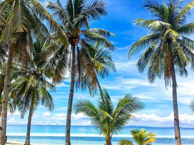 Discovering Tranquil Beauty of Kota Beach on Bantayan Island