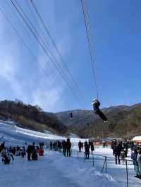 ⛄️冬季限定｜現實版冰雪奇緣❄️